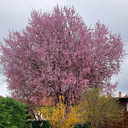 Hébergement de vacances Relax